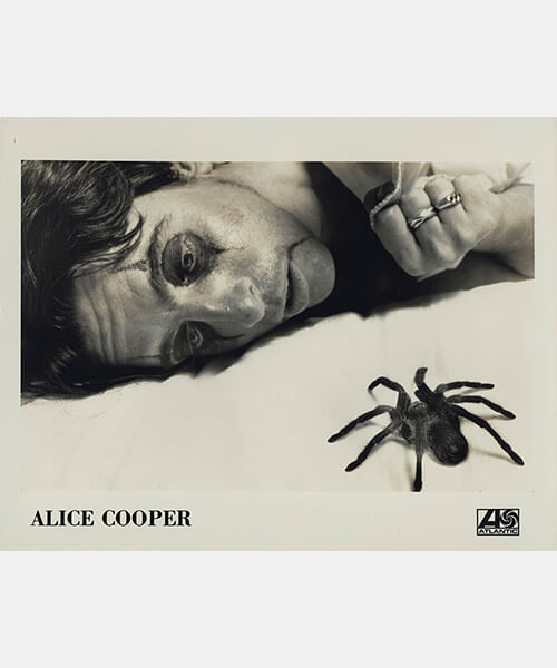 8x10 Photo - Alice With Spider